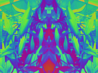 EDE5C654-E918-4019-ADC3-523238055784